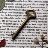 フランス 1930-1950年代頃 『8』アンティークキー 真鍮製古い鍵 (約6.2cm) Antique French Skelton Key Brassなど新着アップ