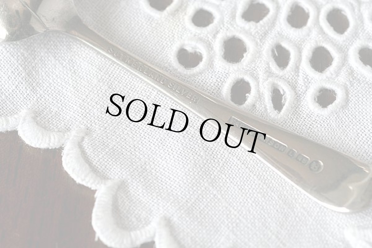 画像9: 〈英国〉1920〜30年代シルバープレート マスタードポットライオンの猫足スプーン付き (9)