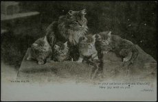 画像1: 〈イギリス〉アンティーク ポストカード 母猫と仔猫たち (1)