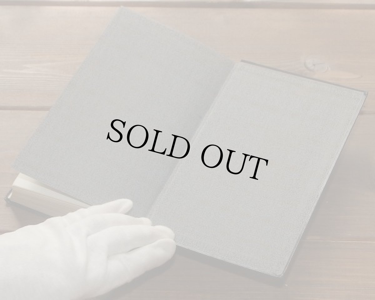 画像8: イギリス アンティーク本 ジキル博士とハイド氏 ロバート・ルイス・スティーヴンソン著 (8)