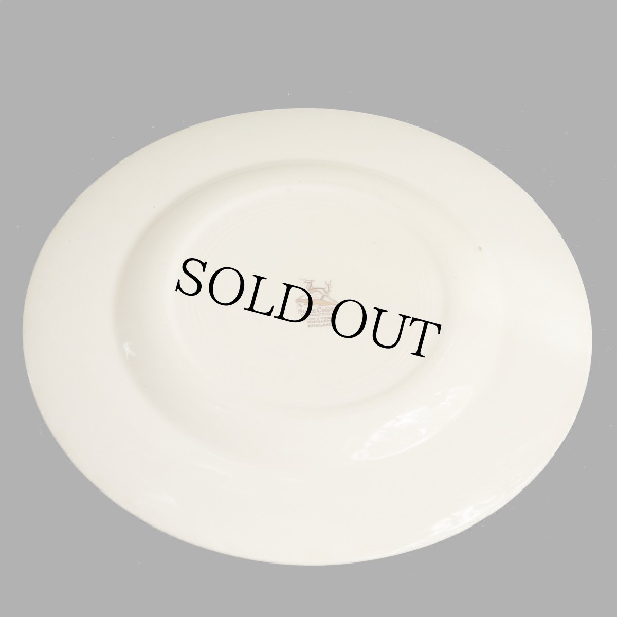 画像11: イギリス スージークーパー 1936年 プランタン サラダ/ブレックファーストプレート 22.8cm (11)