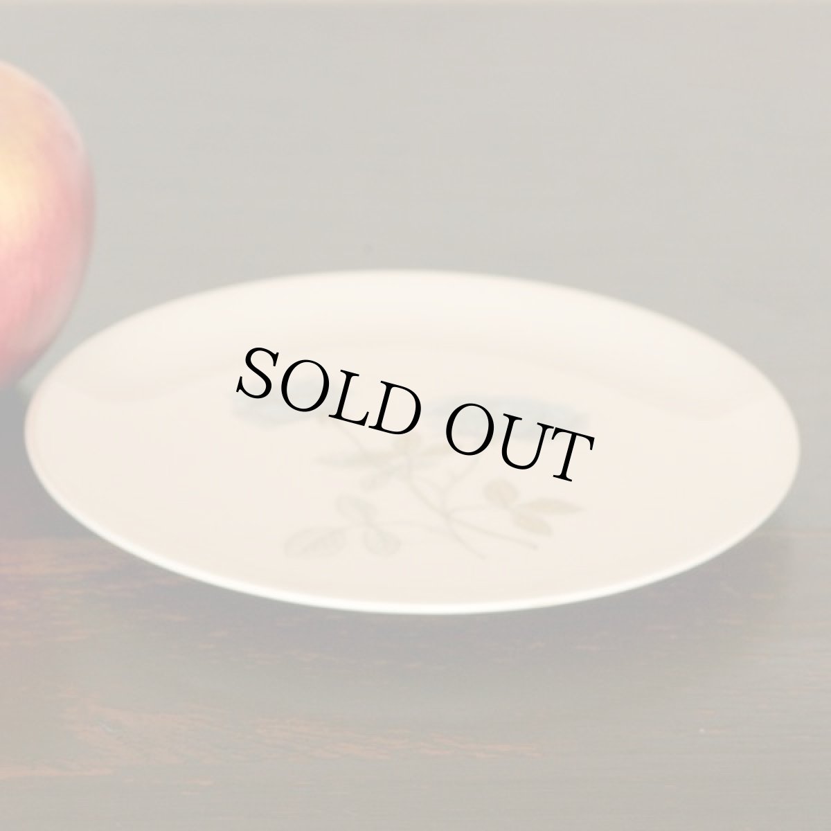 画像6: 在庫0/4イギリス ウェッジウッド 1962-1973年 ブレッド＆バタープレート アイスローズ N ICE ROSE 17.0cm (6)