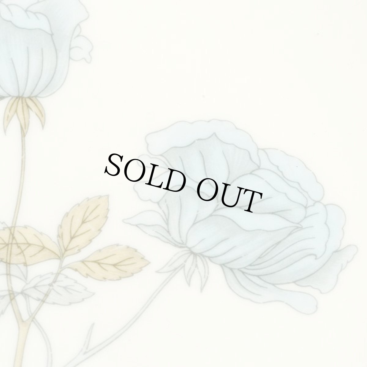 画像3: 在庫0/4イギリス ウェッジウッド 1962-1973年 ブレッド＆バタープレート アイスローズ N ICE ROSE 17.0cm (3)