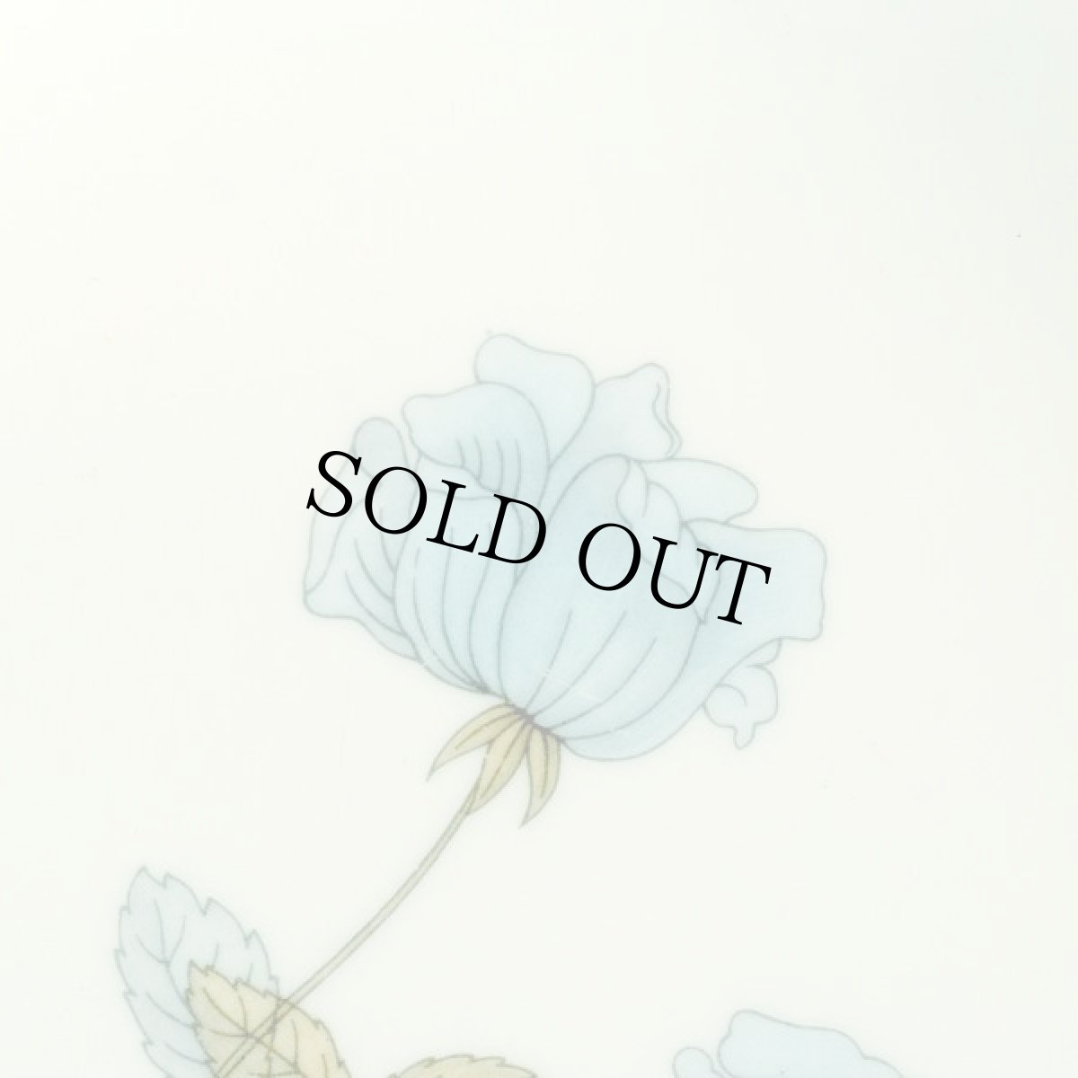 画像3: イギリス ウェッジウッド 1962-1973年 ブレッド＆バタープレート アイスローズ ICE ROSE 16.9cm (3)