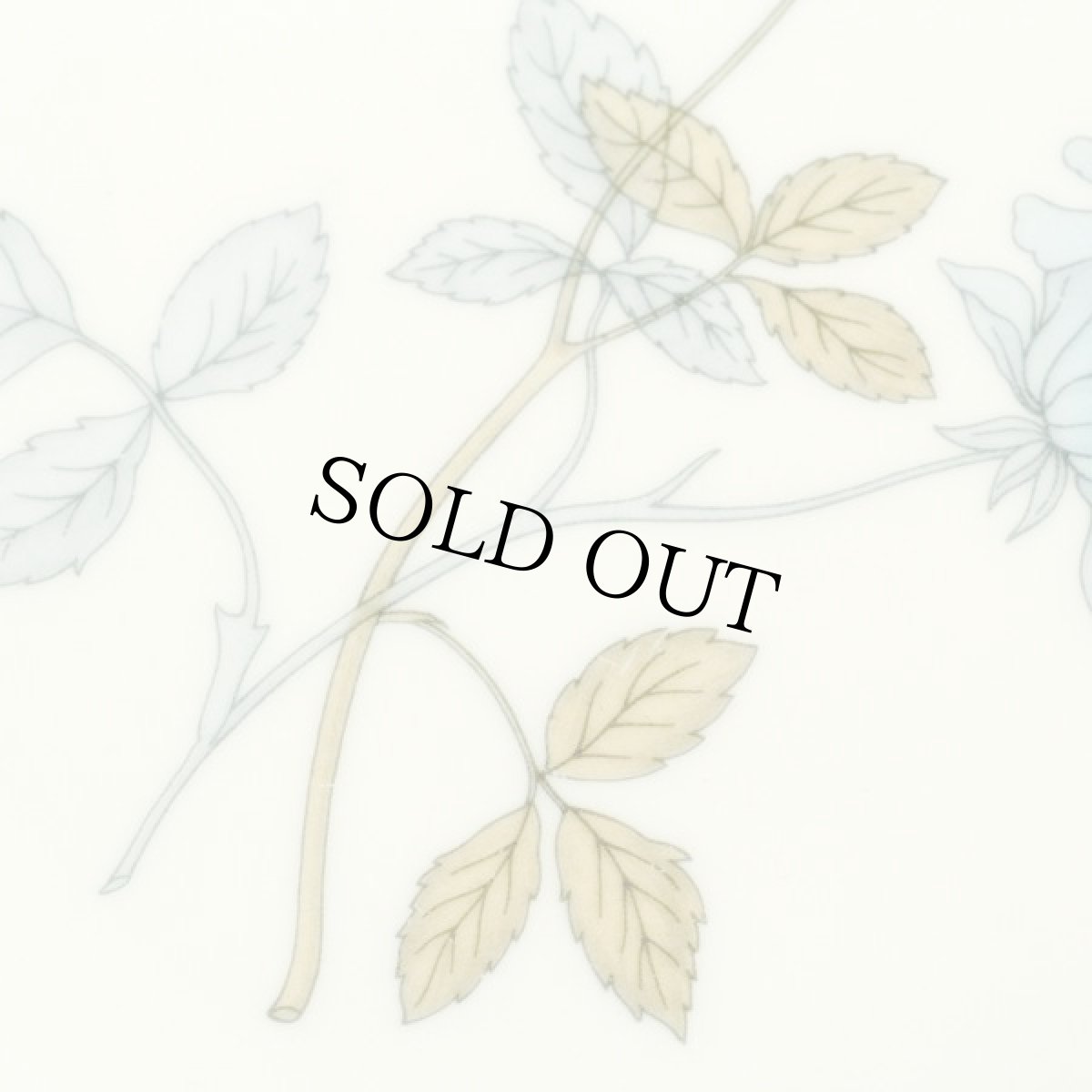 画像4: イギリス ウェッジウッド 1962-1973年 ブレッド＆バタープレート アイスローズ ICE ROSE 16.9cm (4)