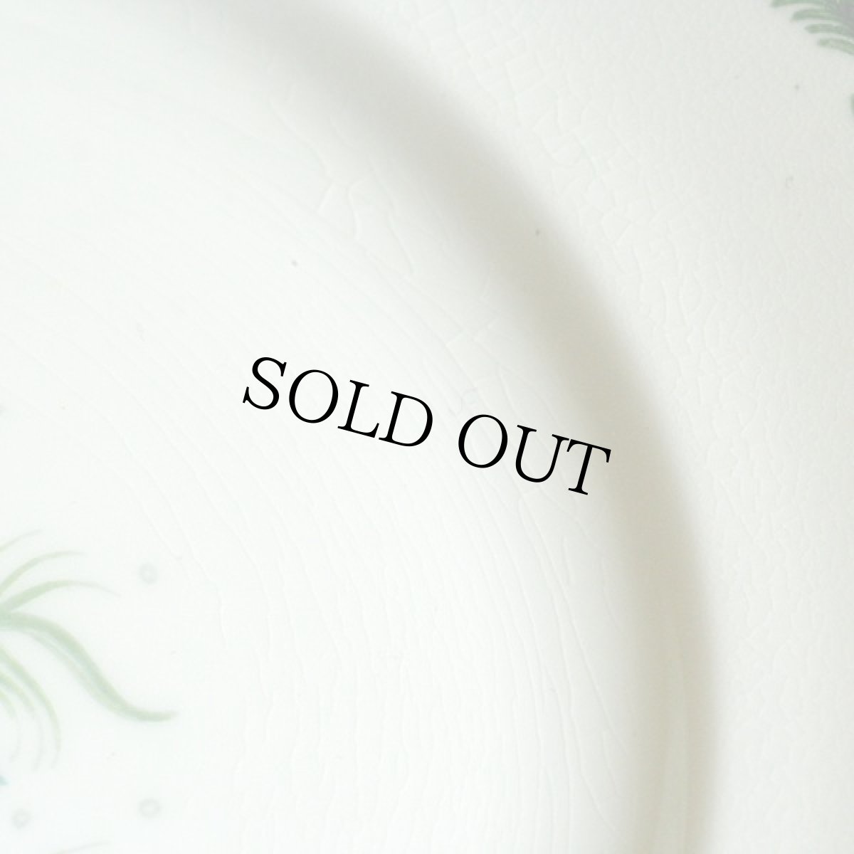 画像6: イギリス スージークーパー 1967年頃 フレグランス ブレックファーストプレート (約21.0cm) (6)