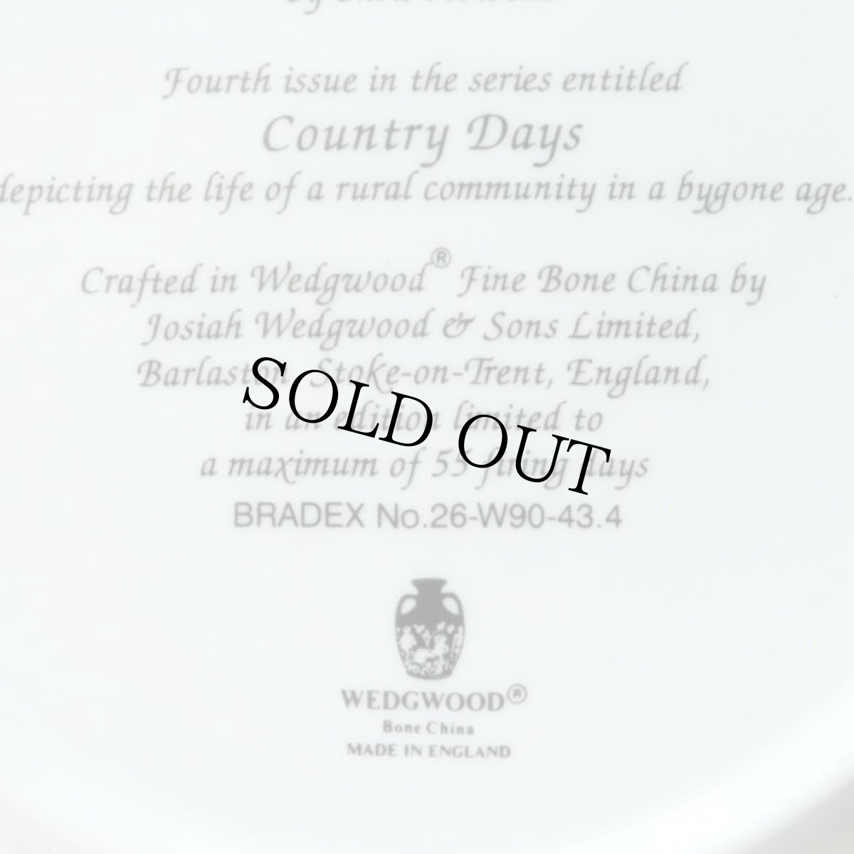 画像10: イギリス 1992 個別番号9375Ｄ ウェッジウッド Lunch Break' COUNTRY DAYS コレクタープレート 飾り皿 直径20.3cm (10)