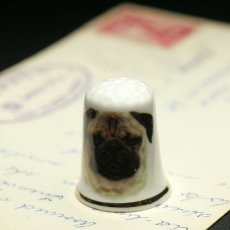 画像1: イギリス パグ犬 英国陶製シンブル(指貫) (1)