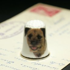 画像1: イギリス ボーダーテリア犬 英国陶製シンブル(指貫) (1)