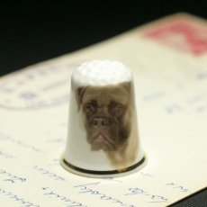画像1: イギリス ピットブル犬 英国陶製シンブル(指貫) (1)