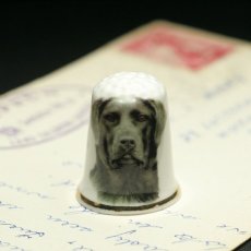 画像1: イギリス ラブラドール犬 英国陶製シンブル(指貫) (1)