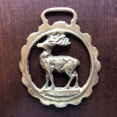 画像1: イギリス アンティーク真鍮 鹿 ホースブラス 馬具飾り  (1)