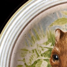 画像5: イギリス 1970-1980年代 パーベック陶器プレート オコジョ Purbeck Pottery Wild Animals 約直径22.0cm (5)