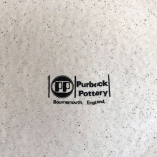画像8: イギリス 1970-1980年代 パーベック陶器プレート りす Purbeck Pottery Wild Animals 約直径22.0cm (8)