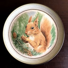 画像1: イギリス 1970-1980年代 パーベック陶器プレート りす Purbeck Pottery Wild Animals 約直径22.0cm (1)