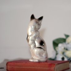 画像16: イギリス 陶器製シャムネコ置物 光沢のある猫オブジェ 陶器ねこフィギュリン (約 高さ18cm) (16)