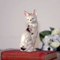 画像14: イギリス 陶器製シャムネコ置物 光沢のある猫オブジェ 陶器ねこフィギュリン (約 高さ18cm) (14)