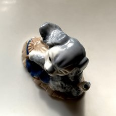 画像7: イギリス 陶器製 犬置物 可愛い子犬オブジェ フィギュリン イヌ雑貨 (約 高さ10.8cm) (7)