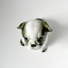 画像6: イギリス ブルドッグ犬 陶器製 犬置物 おすわり犬オブジェ フィギュリン イヌ雑貨 (6)