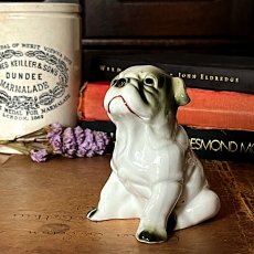画像2: イギリス ブルドッグ犬 陶器製 犬置物 おすわり犬オブジェ フィギュリン イヌ雑貨 (2)