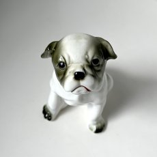 画像7: イギリス ブルドッグ犬 陶器製 犬置物 おすわり犬オブジェ フィギュリン イヌ雑貨 (7)