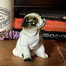画像3: イギリス ブルドッグ犬 陶器製 犬置物 おすわり犬オブジェ フィギュリン イヌ雑貨 (3)