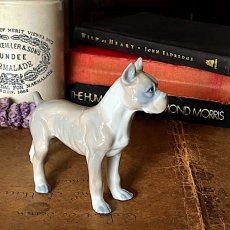 画像2: イギリス ボクサー犬 陶器製 犬置物 可愛い子犬オブジェ フィギュリン イヌ雑貨 (2)