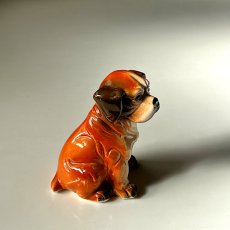 画像8: イギリス ヴィンテージ犬フィギュア ボクサー犬 仔犬フィギュア (8)