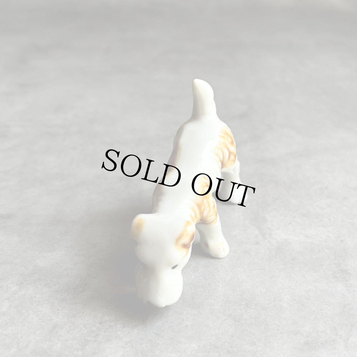 画像3: イギリス 1950年代 小さなフォックス・テリア 犬置物 DOG Porcelain Terrier Dog ヴィンテージ陶器 (3)