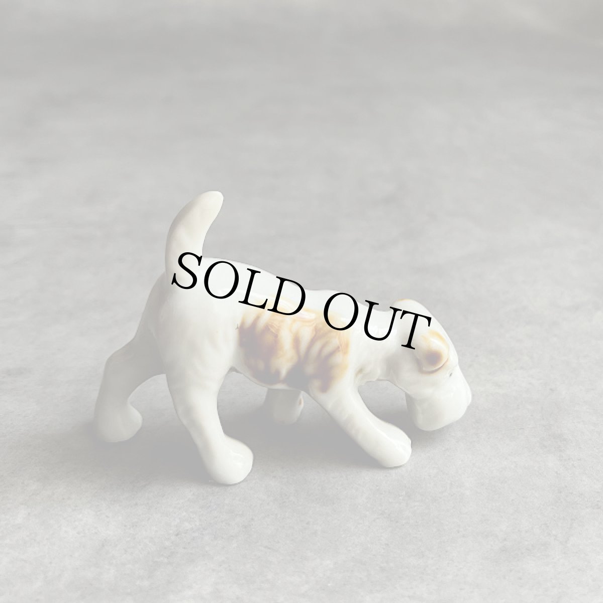 画像5: イギリス 1950年代 小さなフォックス・テリア 犬置物 DOG Porcelain Terrier Dog ヴィンテージ陶器 (5)