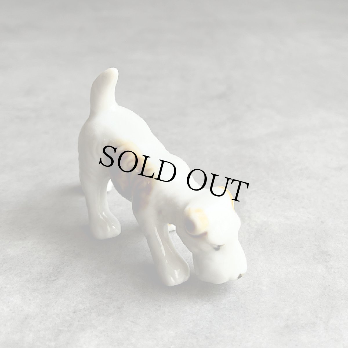画像4: イギリス 1950年代 小さなフォックス・テリア 犬置物 DOG Porcelain Terrier Dog ヴィンテージ陶器 (4)