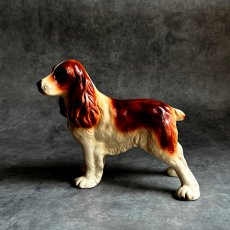 画像2: イギリス 1960-1970年代 クーパークラフト COOPERCRAFT コッカースパニエル犬 レッドブラウン＆ホワイト 英国製 MADE IN ENGLAND (2)