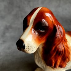 画像7: イギリス 1960-1970年代 クーパークラフト COOPERCRAFT コッカースパニエル犬 レッドブラウン＆ホワイト 英国製 MADE IN ENGLAND (7)