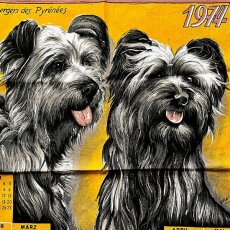 画像6: フランス 1974年 テリア犬 コットン ファブリック 犬カレンダー レトロタペストリー (6)