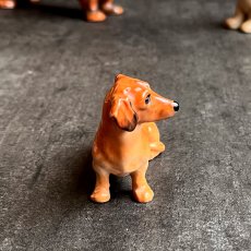 画像5: 英国 ロイヤルドルトン ミニチュアダックスフンド Royal Doulton 小さな犬陶製置物 イギリスアンティーク (5)