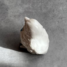 画像8: 英国 1920-1950年代 アンティーク 陶器 小鳥 サウスシー SOUTHSEA クレストウェア CREST WARE (8)