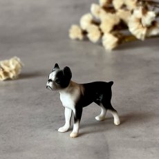 画像1: イギリス 小さな小さなボストンテリア犬 陶製フィギュリン ヴィンテージオーナメント 愛犬雑貨 (1)