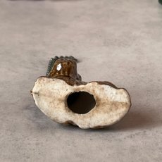 画像5: アメリカ 1950年代 お座り犬 リード付き オキュパイドジャパン JAPAN 陶製ミニチュア置物 犬雑貨 (5)