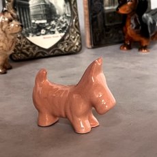 画像1: アメリカ ペールオレンジ スコティッシュテリア犬 陶製ミニチュア置物 DOG 犬雑貨 (1)