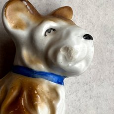 画像9: アメリカ 1950年代 青い首輪のお座り犬 小さな陶製ミニチュア犬置物 オキュパイドジャパン 昭和レトロ犬 JAPAN DOG 犬雑貨 (9)