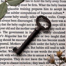 画像2: フランス 1930-1950年代頃 アンティークキー 古い鍵  (約5.9cm)  Antique French Skelton Key Brass (2)