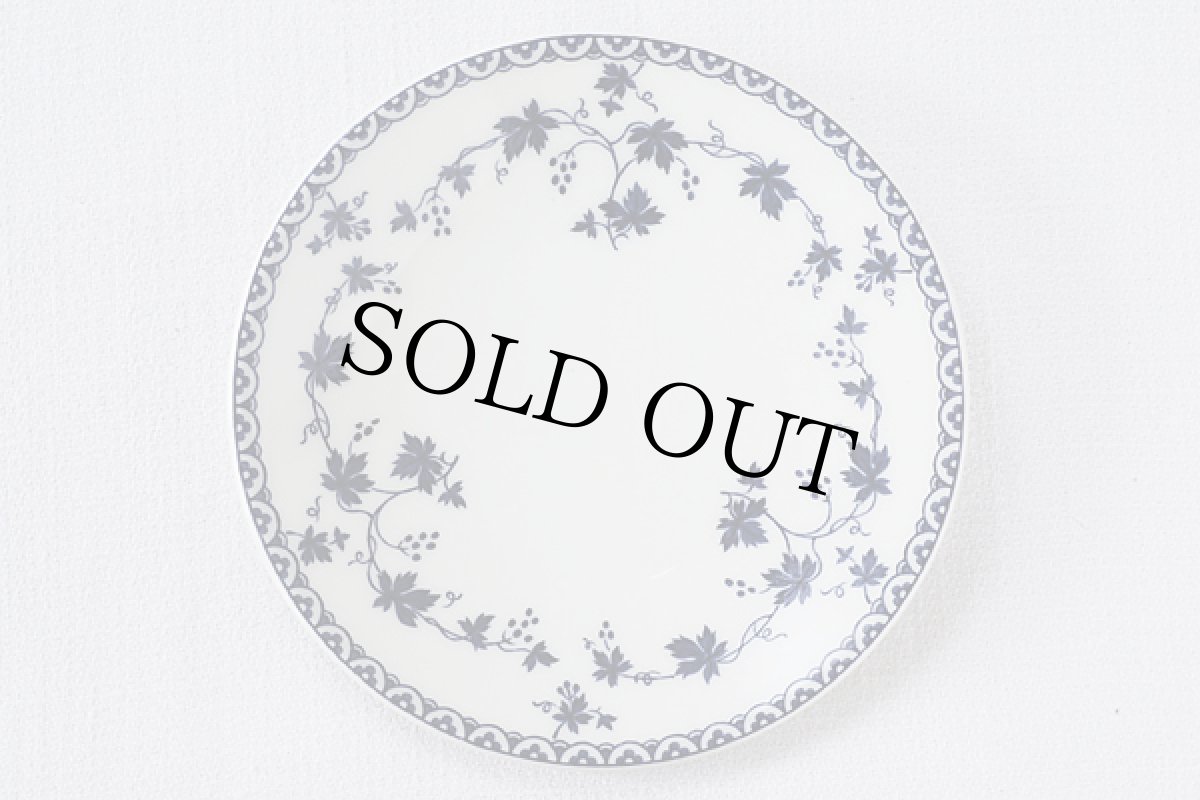 画像2: 〈イギリス〉ロイヤルドルトン小皿 ヨークタウン (2)