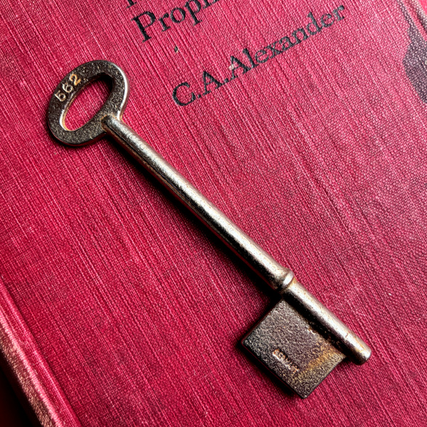 ドイツ 1950-1970年代頃 ドイツ製家具用鍵 刻印Taylor No563 アンティークキー｜(約9.5cm)